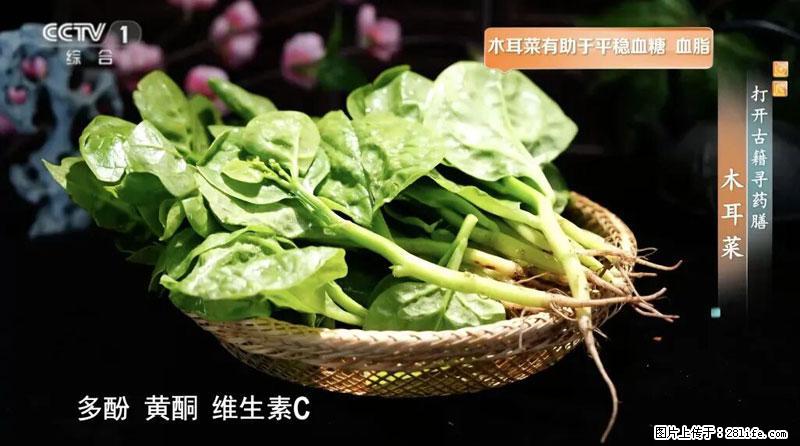 比牛奶补钙还厉害！凉血解毒、稳血糖...这菜冬天必吃，很多人却当草 - 桂林生活资讯 - 桂林28生活网 www.28life.com