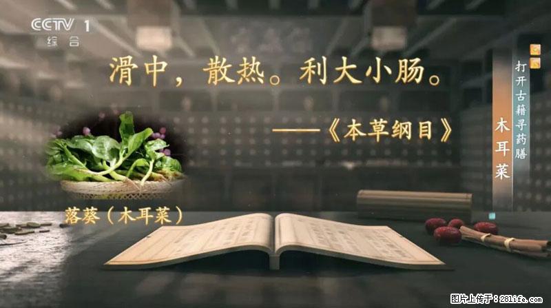 比牛奶补钙还厉害！凉血解毒、稳血糖...这菜冬天必吃，很多人却当草 - 桂林生活资讯 - 桂林28生活网 www.28life.com