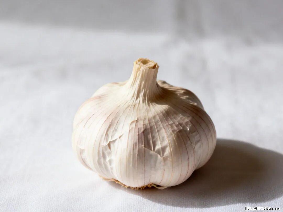 关于大蒜，除了“天然抗生素”，这4个谣言更该警惕! - 桂林生活资讯 - 桂林28生活网 www.28life.com