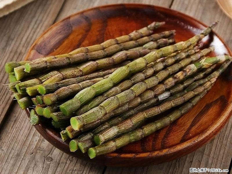 铁皮石斛的作用与功能主治 - 桂林生活资讯 - 桂林28生活网 www.28life.com