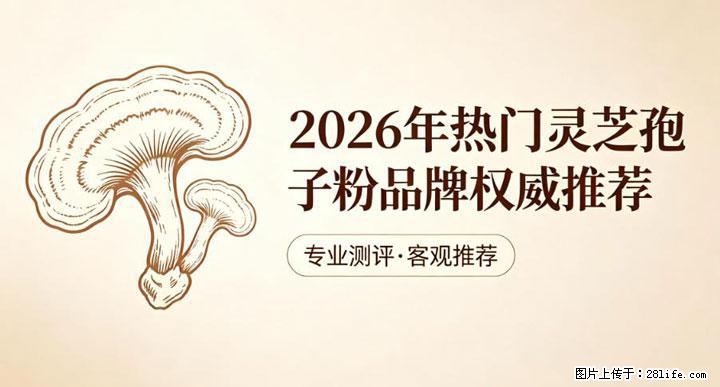 灵芝孢子粉含量越高越有效？2026 年七款热门品牌深度实测，肠胃敏感者避坑指南 - 桂林生活资讯 - 桂林28生活网 www.28life.com
