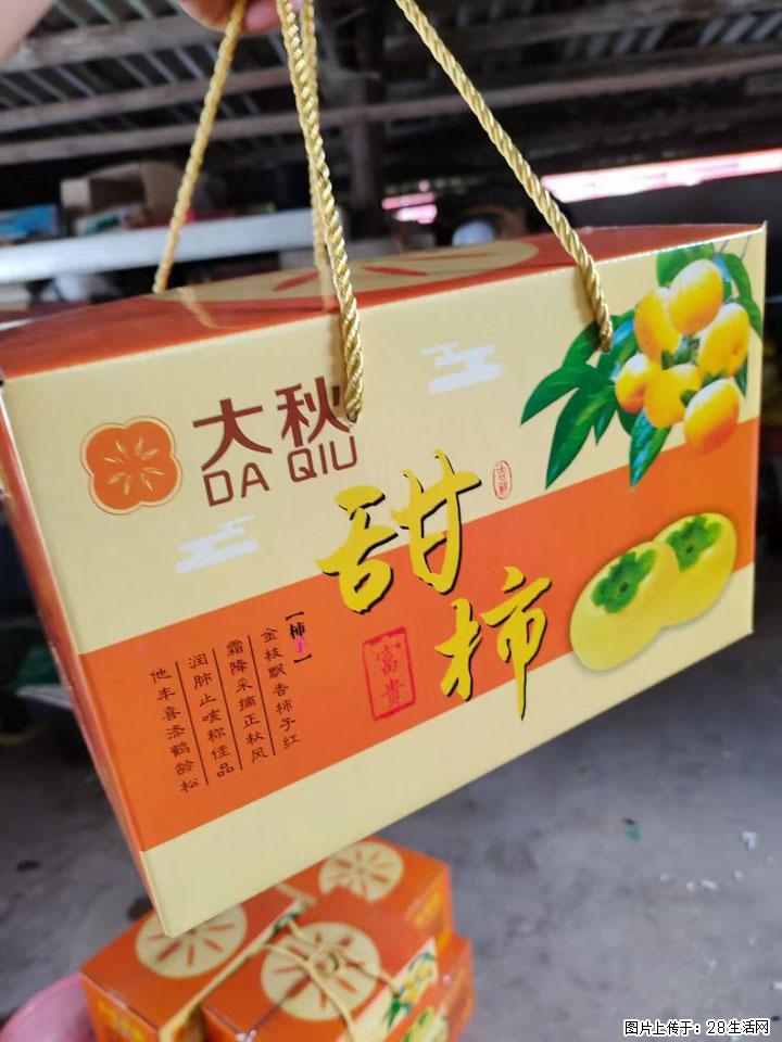 平乐桥亭【红心猕猴桃】、【大秋甜柿】上市啦,欢迎各位新老客户下单(另有少量小果出售) - 桂林生活资讯 - 桂林28生活网 www.28life.com
